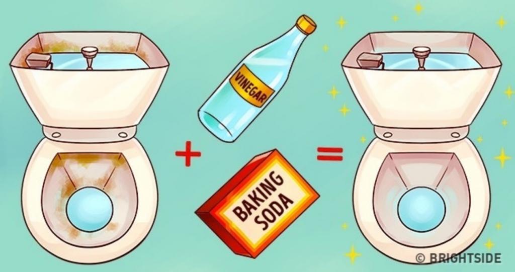 Chasse d’eau : comment bien l’entretenir et éviter les pannes découvrez nos conseils pratiques pour l